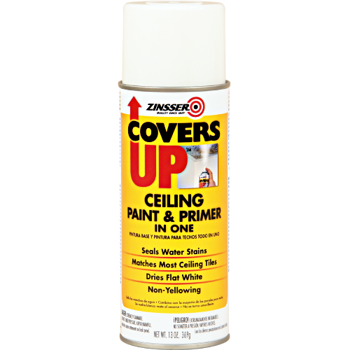 Zinsser Covers Up 13oz Spray 